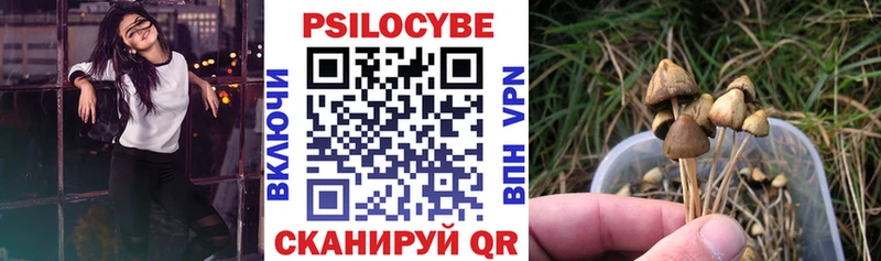 Галлюциногенные грибы Psilocybine cubensis  хочу   OMG зеркало  Ржев 